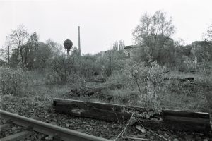Schöneberger Südgelände 1981. Foto: Ulrich Horb