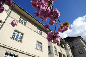 03-Ceciliengaerten-P1720415