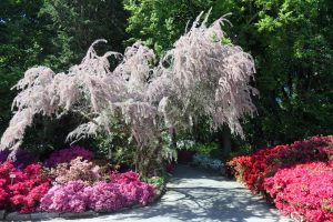 05-Botanischer-Garten-P1188092