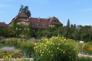 Botanischer Garten. Foto: Ulrich Horb P1012816